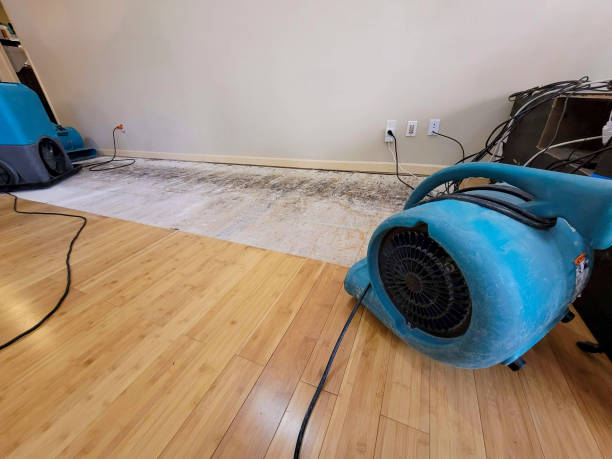 Professional Flood Damage Cleanup technician working in Whitsett, TX